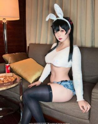 金瓶风月免费看